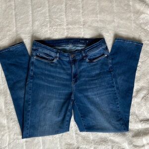 J.jill Women's Blue Skinny Jeans